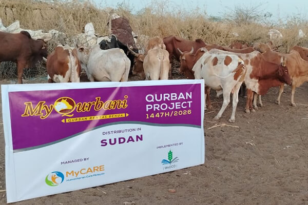 persediaan lembu qurban di Sudan