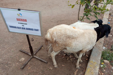 Akikah-Somaliland-Alfi