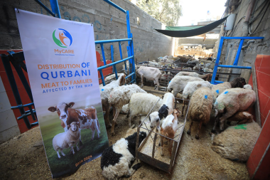 Persediaan kambing biri-biri untuk disembelih di Gaza